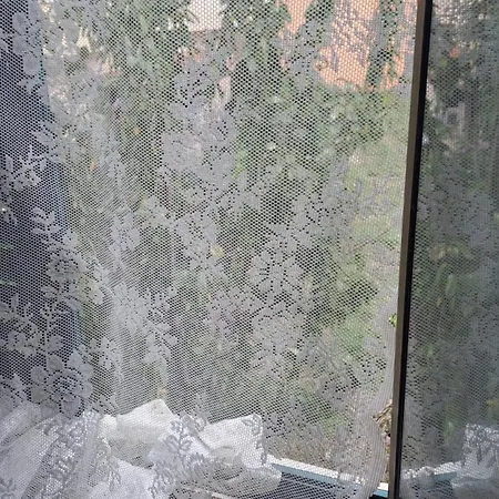 Casa de hóspedes La Gatta Bianca *